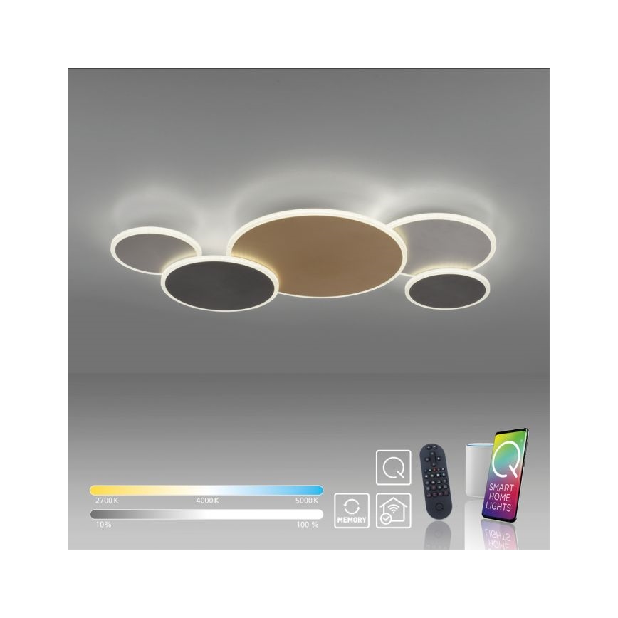 Paul Neuhaus 8008-70 - Dimbare LED plafondlamp Q-PIATO LED/49W/230V 2700-5000K Wi-Fi + afstandsbediening