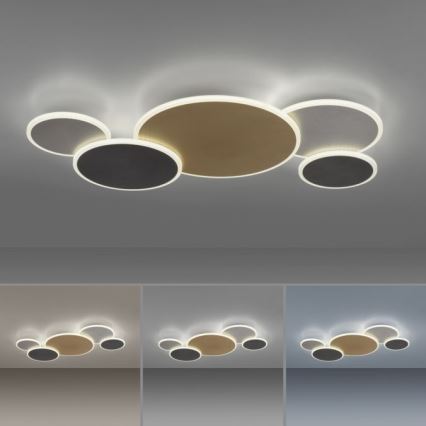 Paul Neuhaus 8008-70 - Dimbare LED plafondlamp Q-PIATO LED/49W/230V 2700-5000K Wi-Fi + afstandsbediening