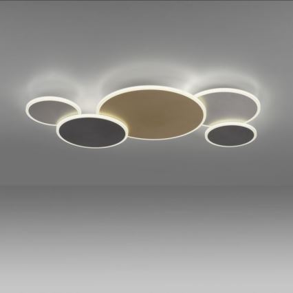 Paul Neuhaus 8008-70 - Dimbare LED plafondlamp Q-PIATO LED/49W/230V 2700-5000K Wi-Fi + afstandsbediening
