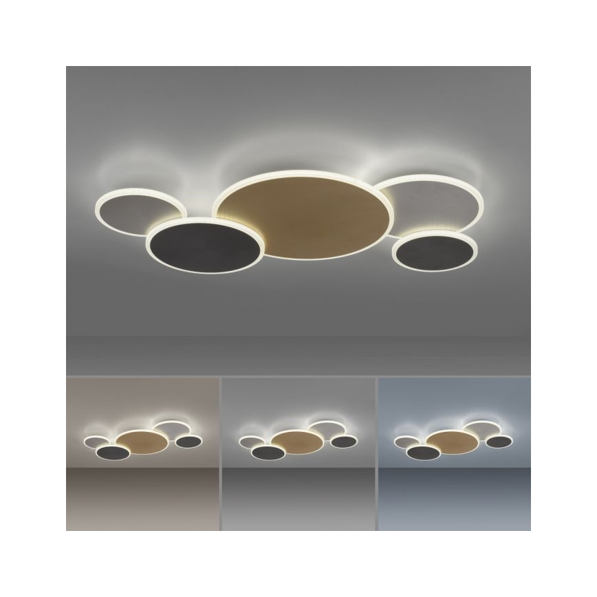 Paul Neuhaus 8008-70 - Plafonnier à intensité variable Q-PIATO LED/49W/230V 2700-5000K Wi-Fi + télécommande
