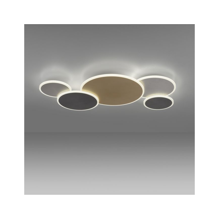 Paul Neuhaus 8008-70 - Plafonnier à intensité variable Q-PIATO LED/49W/230V 2700-5000K Wi-Fi + télécommande