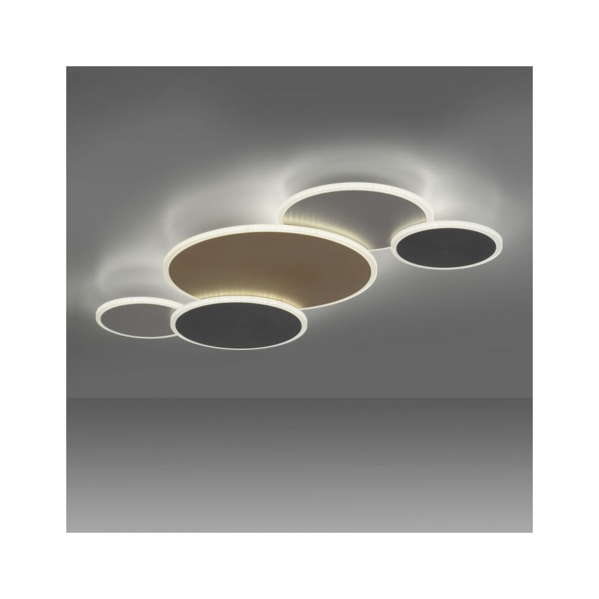 Paul Neuhaus 8008-70 - Plafonnier à intensité variable Q-PIATO LED/49W/230V 2700-5000K Wi-Fi + télécommande