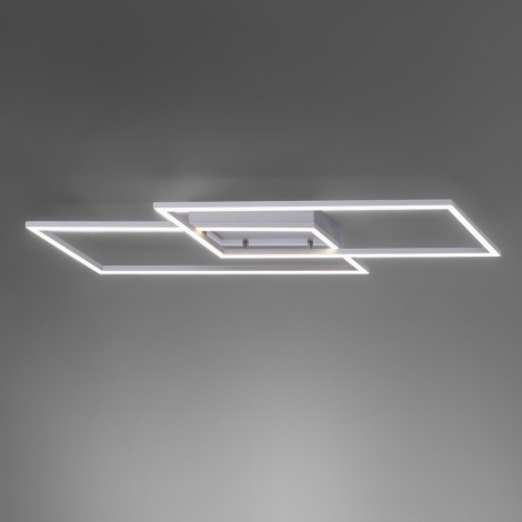 Paul Neuhaus 8193-55 - LED Plafondlamp dimbaar INIGO 2xLED/15W/230V