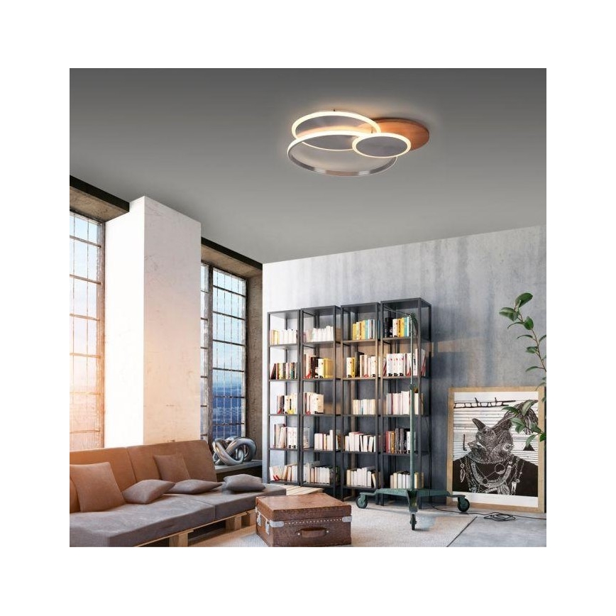 Paul Neuhaus 8328-79 - Dimbare LED plafondlamp PALMA LED/50W/230V 2700-5000K grenen + afstandsbediening