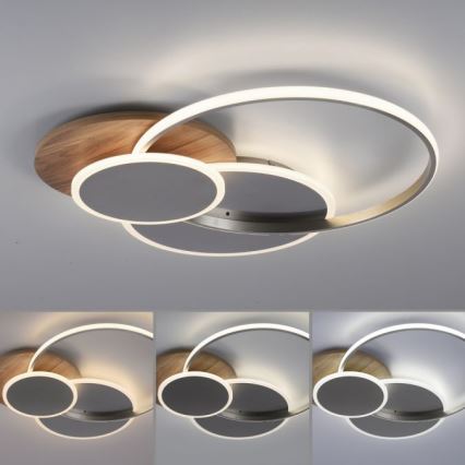 Paul Neuhaus 8328-79 - Dimbare LED plafondlamp PALMA LED/50W/230V 2700-5000K grenen + afstandsbediening