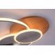 Paul Neuhaus 8328-79 - Dimbare LED plafondlamp PALMA LED/50W/230V 2700-5000K grenen + afstandsbediening