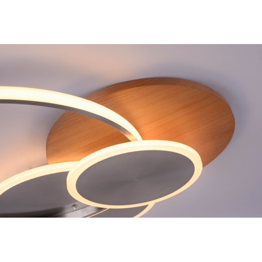 Paul Neuhaus 8328-79 - Dimbare LED plafondlamp PALMA LED/50W/230V 2700-5000K grenen + afstandsbediening