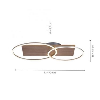 Paul Neuhaus 8329-79 - Plafonnier à intensité variable PALMA LED/26W/230V 2700-5000K pin + télécommande