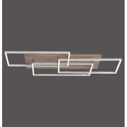 Paul Neuhaus 8330-79 - Plafonnier à intensité variable PALMA 3xLED/12W/230V pin + télécommande