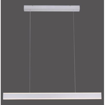 Paul Neuhaus 8363-55 - Dimbare LED Hanglamp aan een koord met Sensor ARINA LED/20W/230V