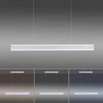 Paul Neuhaus 8363-55 - Suspension filaire LED à intensité variable avec détecteur ARINA LED/20W/230V