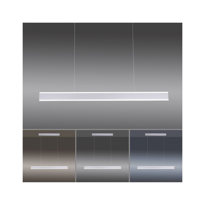 Paul Neuhaus 8363-55 - Suspension filaire LED à intensité variable avec détecteur ARINA LED/20W/230V