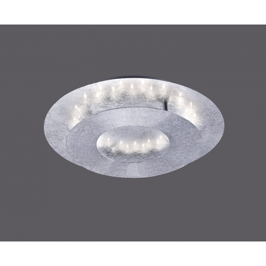 Paul Neuhaus 9011-21 - LED Plafond Lamp NEVIS LED/6W/230V zilver