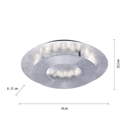 Paul Neuhaus 9011-21 - Plafonnier NEVIS LED/6W/230V argenté