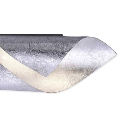 Paul Neuhaus 9030-21 - LED Wand Lamp NEVIS LED/6W/230V zilver
