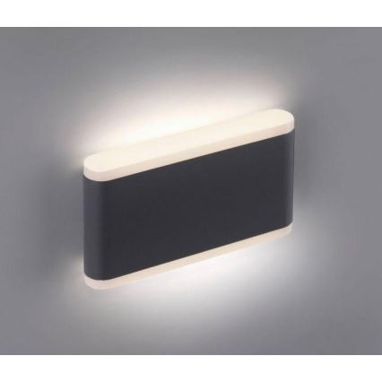 Paul Neuhaus 9483-13 - Applique murale extérieure ELSA 2xLED/5,4W/230V IP65