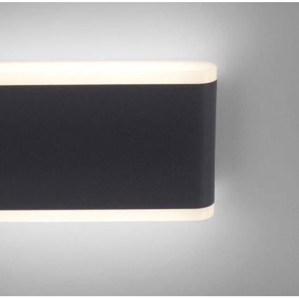 Paul Neuhaus 9483-13 - LED Wandlamp voor buiten ELSA 2xLED/5,4W/230V IP65