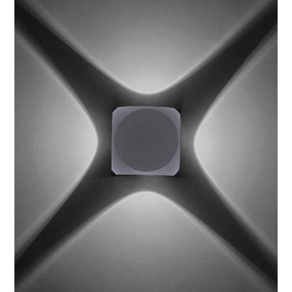 Paul Neuhaus 9485-21 - LED Wand Lamp voor Buiten CARLO 4xLED/0,8W/230V IP54