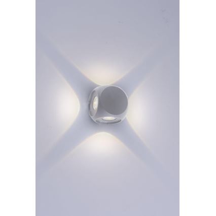 Paul Neuhaus 9485-21 - LED Wand Lamp voor Buiten CARLO 4xLED/0,8W/230V IP54