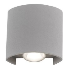 Paul Neuhaus 9486-21 - LED Wand Lamp voor Buiten CARLO 2xLED/1,7W/230V IP54