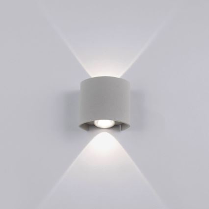 Paul Neuhaus 9486-21 - LED Wand Lamp voor Buiten CARLO 2xLED/1,7W/230V IP54