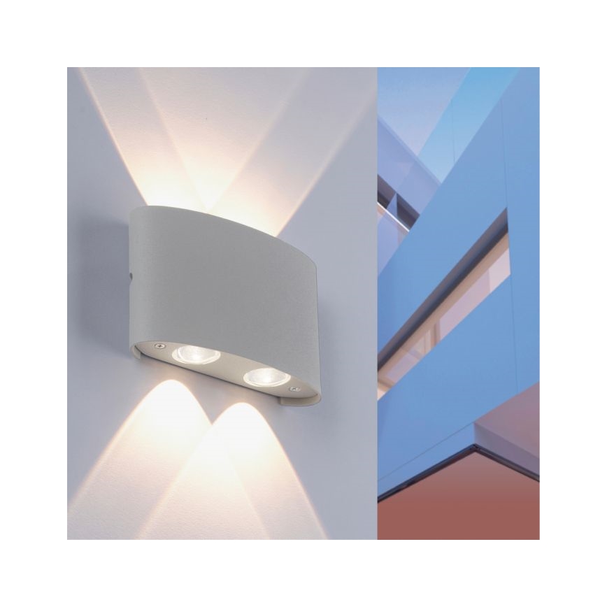 Paul Neuhaus 9487-21 - LED Wand Lamp voor Buiten CARLO 4xLED/0,8W/230V IP54