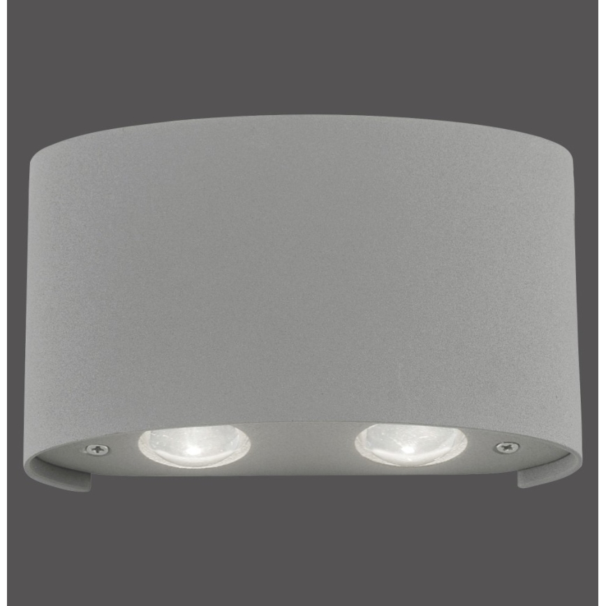 Paul Neuhaus 9487-21 - LED Wand Lamp voor Buiten CARLO 4xLED/0,8W/230V IP54