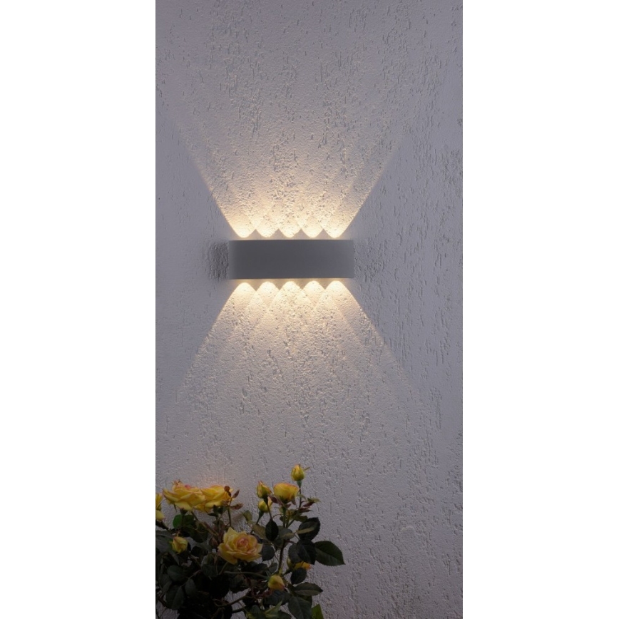 Paul Neuhaus 9489-21- LED Wand Lamp voor Buiten CARLO 10xLED/0,8W/230V IP54