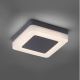 Paul Neuhaus 9491-13 - LED Lamp voor Buiten FABIAN LED/12,6W/230V IP54