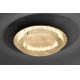Paul Neuhaus 9621-12 - LED Plafond Lamp NEVIS LED/24W/230V