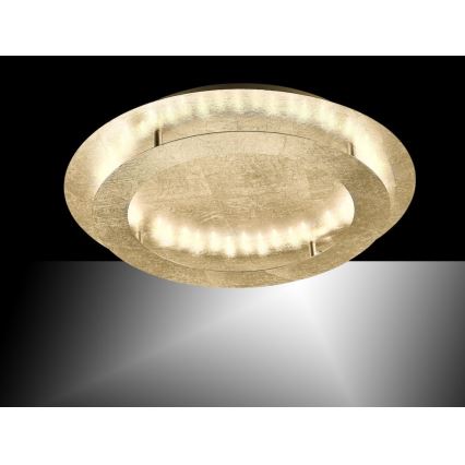 Paul Neuhaus 9621-12 - LED Plafond Lamp NEVIS LED/24W/230V