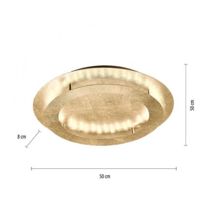 Paul Neuhaus 9621-12 - LED Plafond Lamp NEVIS LED/24W/230V