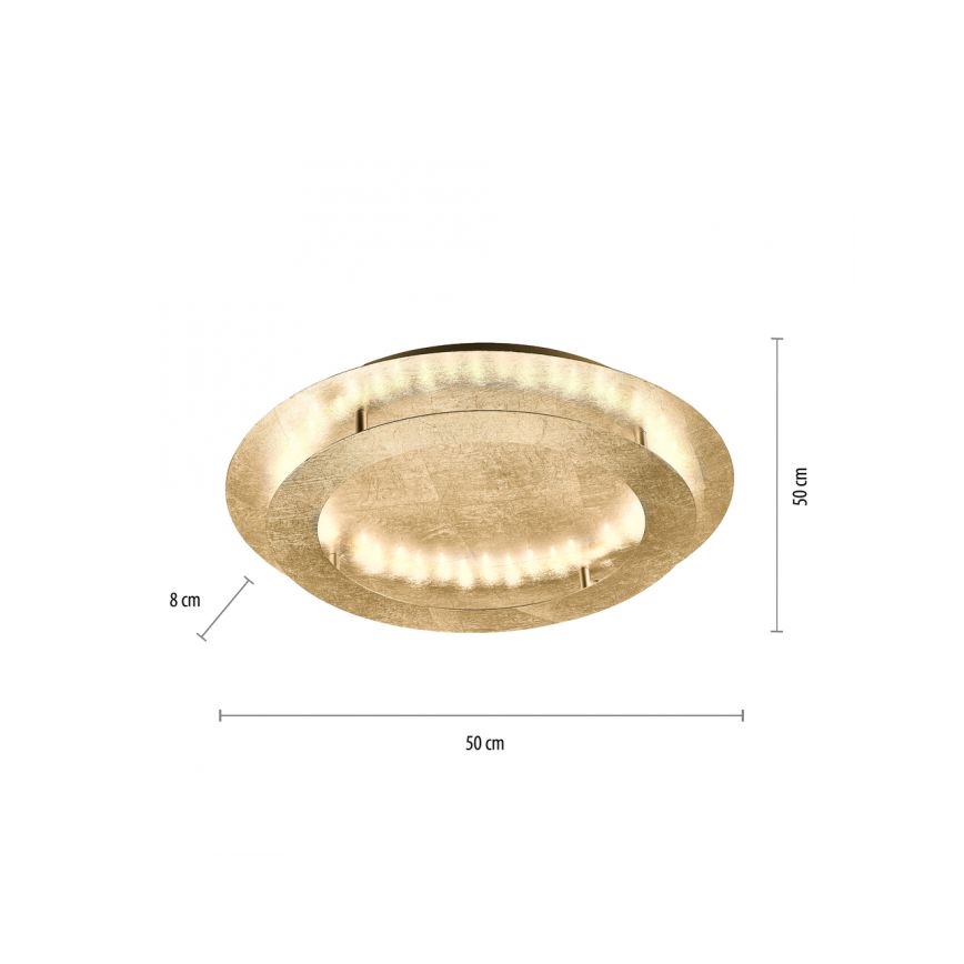 Paul Neuhaus 9621-12 - LED Plafond Lamp NEVIS LED/24W/230V