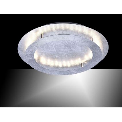 Paul Neuhaus 9621-21 - LED Plafond Lamp NEVIS LED/24W/230V