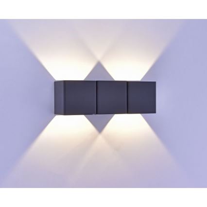 Paul Neuhaus 9658-13 - LED Wand Lamp voor Buiten MARCEL 2xLED/4W/230V IP54