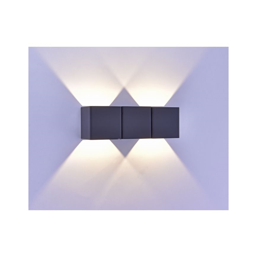 Paul Neuhaus 9658-13 - LED Wand Lamp voor Buiten MARCEL 2xLED/4W/230V IP54