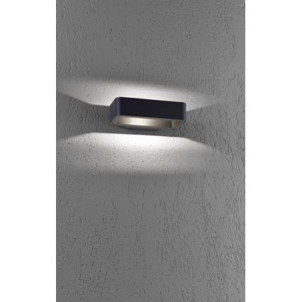 Paul Neuhaus 9668-13 - LED Wand Lamp voor Buiten HENDRIK LED/5,2W/230V IP54