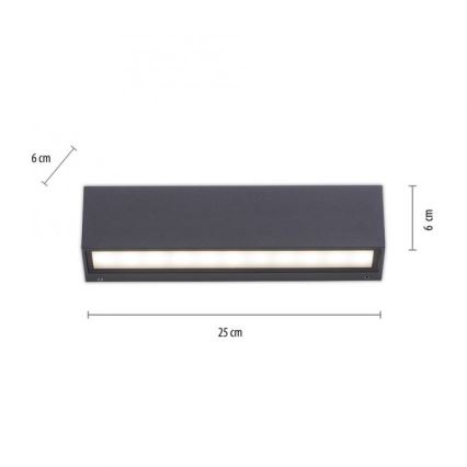 Paul Neuhaus 9675-13 - LED Wand Lamp voor Buiten ROBERT 2xLED/9W/230V IP65