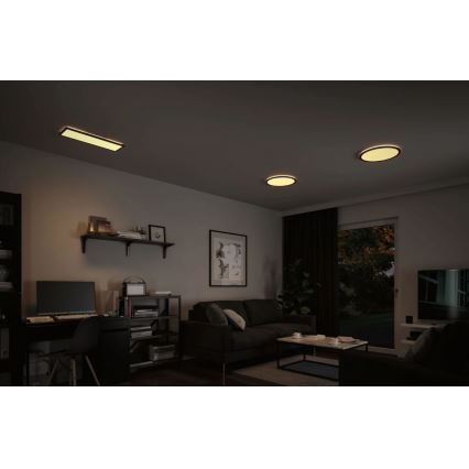 Paulmann 70999 - Panneau à intensité variable LED/22W ATRIA 230V 3000K d. 42 cm noir