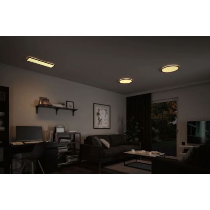 Paulmann 71003 - LED/22W Dimbaar lichtpaneel ATRIA 230V 3000K 20x58 cm zwart
