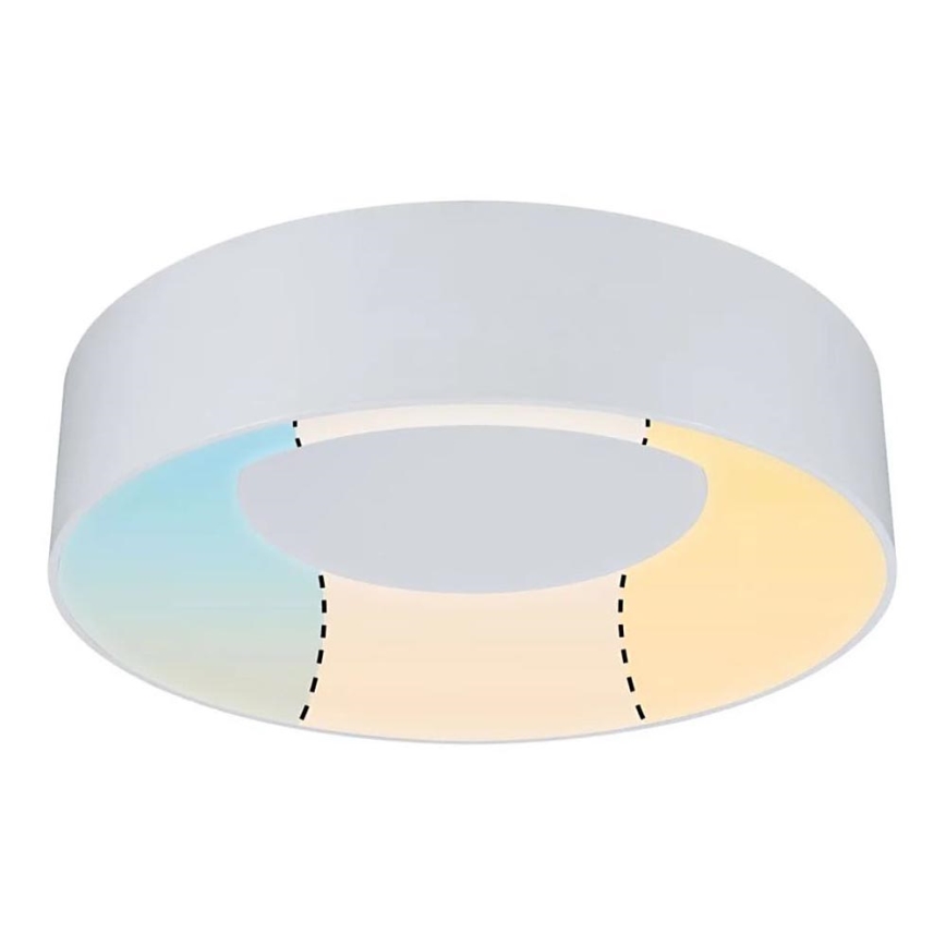 Paulmann 78946 - Plafonnier de salle de bain LED/16W IP44 CASCA 230V