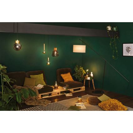 Paulmann 79736 - 1xE27/20W Lampe de table IBEN 230V fumée