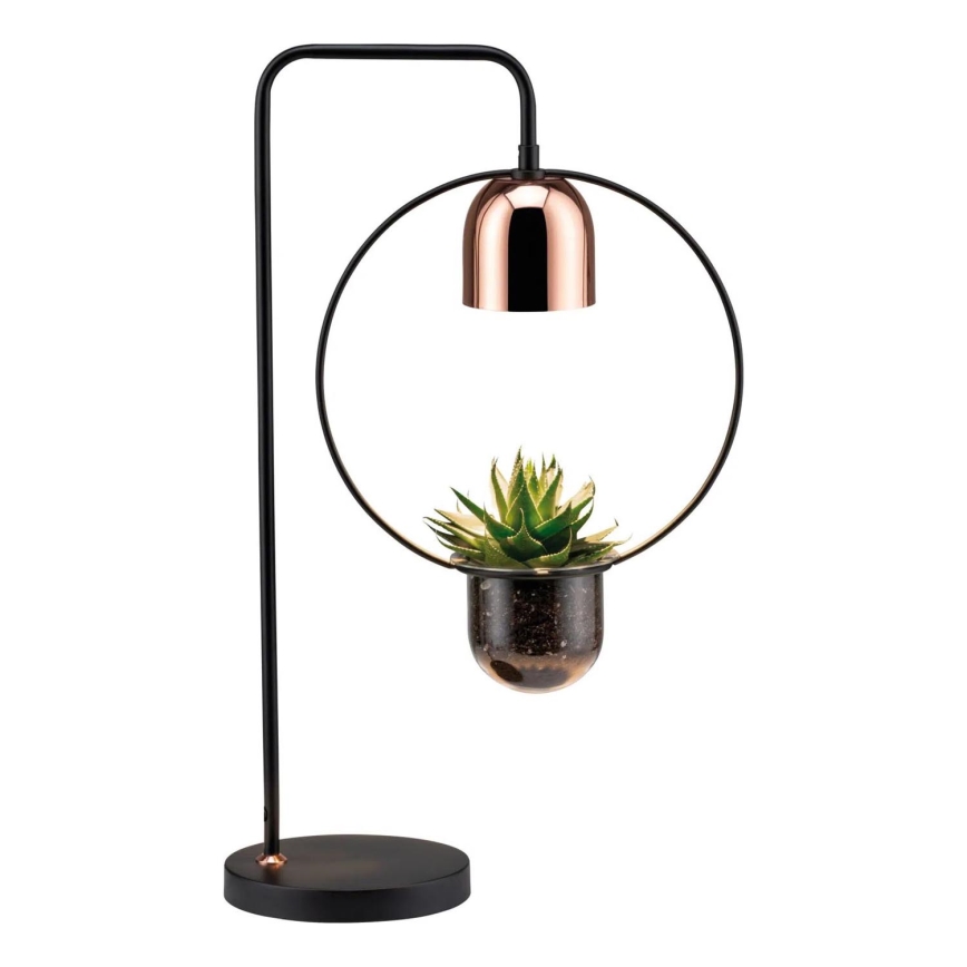 Paulmann 79746 - 1xGU10/20W Tafellamp FANJA 230V rookkleurig