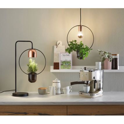 Paulmann 79746 - 1xGU10/20W Tafellamp FANJA 230V rookkleurig