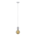 Paulmann 79750 - 1xE27/20W Suspension filaire NORDIN 230V
