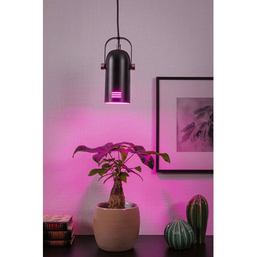 Paulmann 79766 - LED RGBW 1x E27/12W hanglamp met kabel LAVEA 230V zwart
