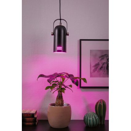 Paulmann 79766 - LED RGBW 1x E27/9W hanglamp met kabel LAVEA 230V zwart