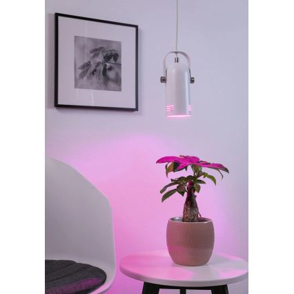 Paulmann 79767 - LED RGBW 1xE27/15W hanglamp met kabel LAVEA 230V wit