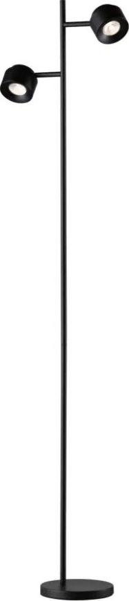 Paulmann 79775 - 2xLED/3W Dimbare staande lamp PURIK PANE 230V