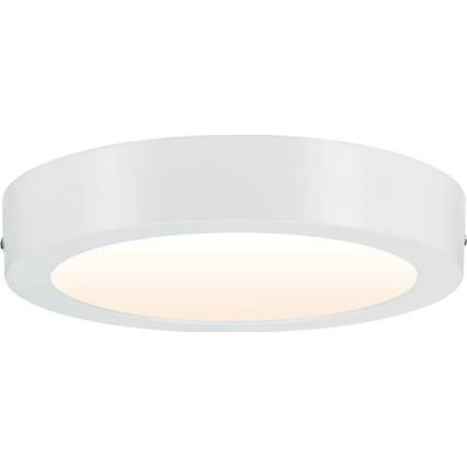 Paulmann 79795 - Plafonnier LED/13W CARPO 230V 2300/2500/3000K